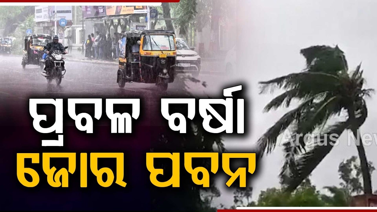 Ajira Bitarka | ପ୍ରବଳ ବର୍ଷା ଜୋର ପବନ | Heavy Rain & Strong Winds: State On High Alert | Argus News