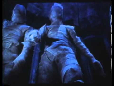 Encounters of the Spooky Kind'