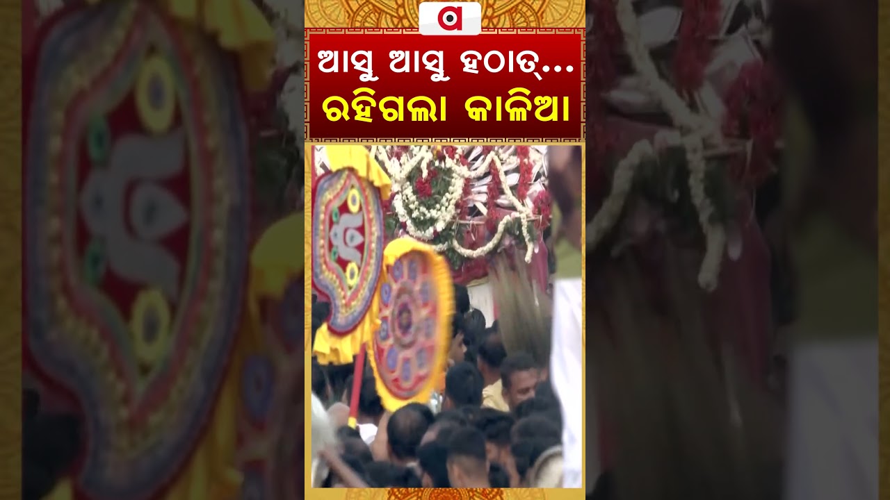 ଆସୁ ଆସୁ ହଠାତ୍... ରହିଗଲା କାଳିଆ | Argus Reels | Lord Jagannatha | Snana Yatra | Puri | Pahandi Bije