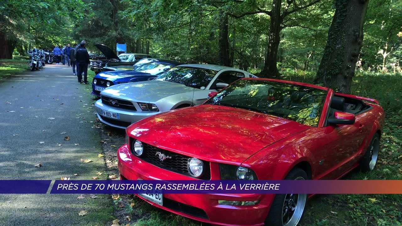 Yvelines | Près de 70 Mustangs rassemblées à La Verrière