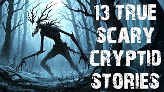 13 True Disturbing & Terrifying Cryptid Scary Stories | Horror Stories To Fall Asleep To