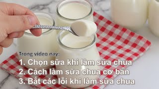Bắt lỗi khi làm sữa chua và cách khắc phục | Tất tần tật về sữa chua (phần 1)