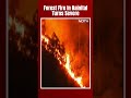 Nainital News | Massive Forest Fire Reaches Nainitals High Court Colony, Army Called In  - 00:52 min - News - Video
