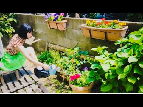 アップルクランブル向きの午後/the beefields (b-flower 八野英史)アマイワナ