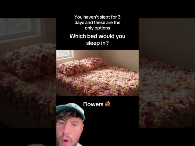 WHICH BED YOU CHOOSING ? 🎥sarahsaiasmr #shorts