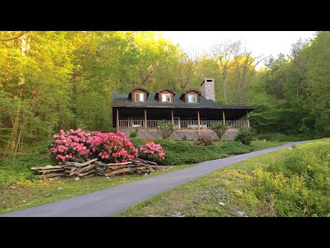 Property video