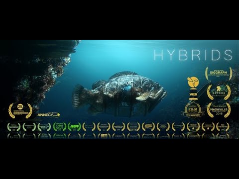Hybrids'