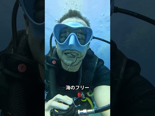 サメの歯を掃除する魚