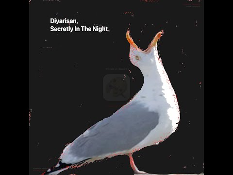 Diyarisan - Secretly In The Night 