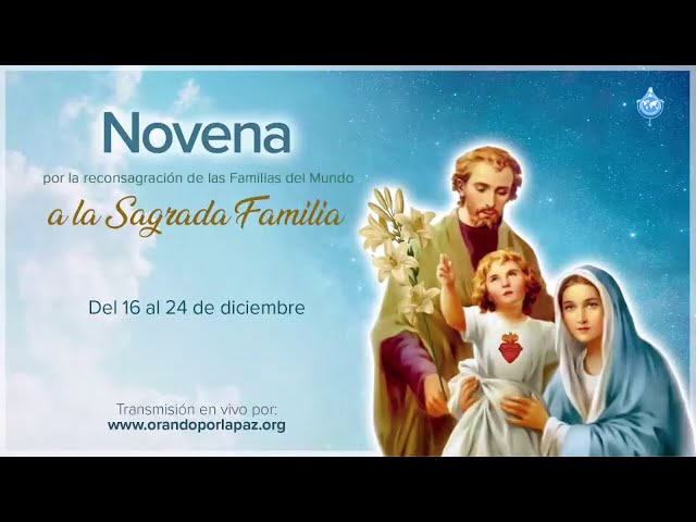 Preview do vídeo