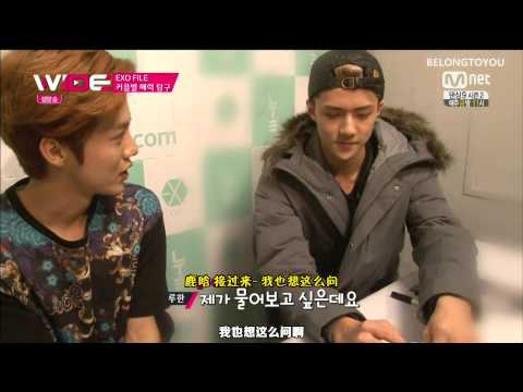 【BTU出品】140616 Mnet Wide News EXO File (中字)