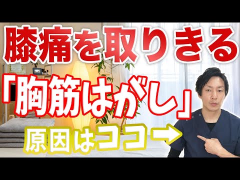 自分で治す 治らない膝痛を取りきる 大胸筋はがし 渋谷 膝の痛み 東京都渋谷区恵比寿の整体院蒼 まとめちゅーぶ