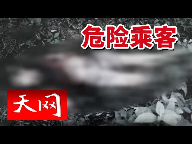 《天网》双刀索命！壮汉惨遭虐杀 真凶一人落网 另一人竟凭空消失？20250702