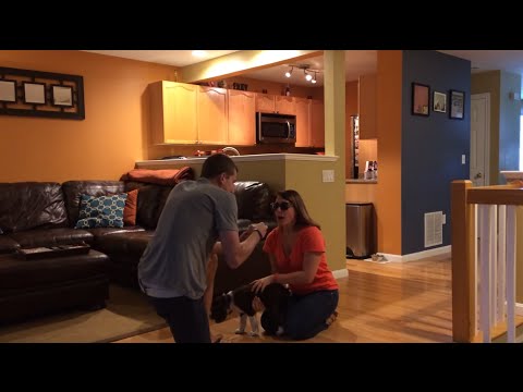 Kelsey's Puppy Proposal