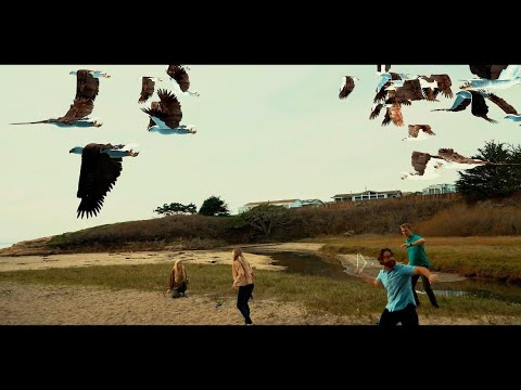 Birdemic 3: Sea Eagle'