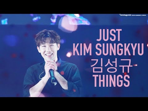 INFINITE ~ JUST SUNGGYU/ SUNGKYU (김성규) THINGS