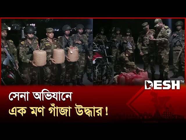 কুড়িগ্রামে সেনা অভিযানে এক মণ গাঁজা উদ্ধার | Army Operation | Kurigram | Desh TV