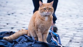 A Street Cat Named Bob - Officia