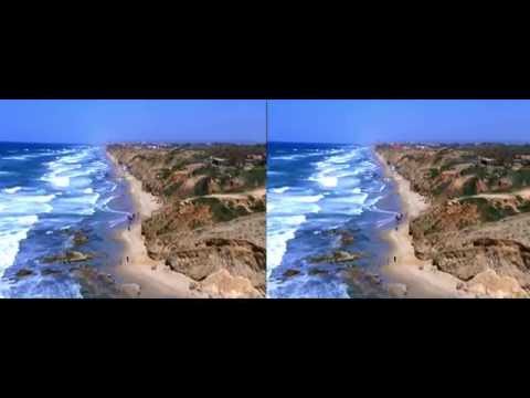 Albatross 3D VR Video