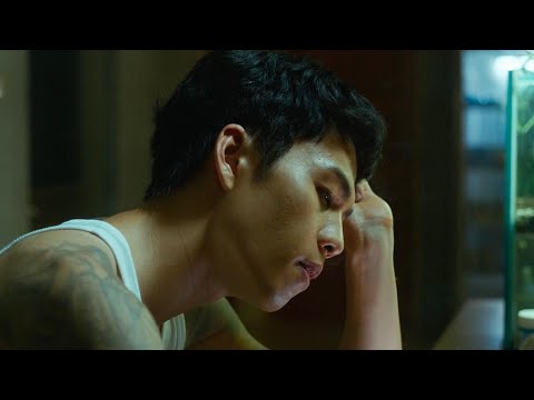 Love Is a Gun'