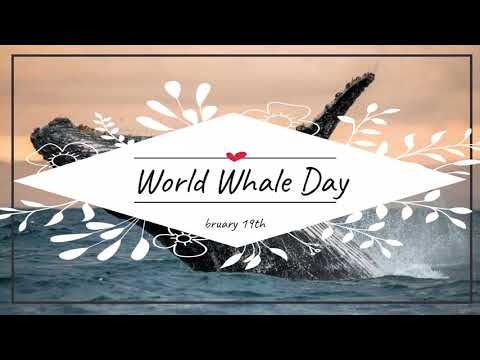19 Февруари - Световен ден на китовете