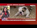 23 Dog Breeds Banned In India | Centre Asks States To Ban 23 Breeds Of Ferocious Dogs  - 08:04 min - News - Video