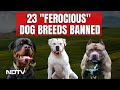 23 Dog Breeds Banned In India | Centre Asks States To Ban 23 Breeds Of Ferocious Dogs