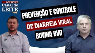 Canal do Leite Interativo 01/11/2021 - Pauta técnica: Prevenção e Controle de Diarreia Viral Bovina BVD
