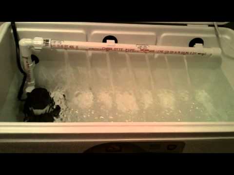 How to Make a Fish Live-well out of an Ice Chest Musica Movil 