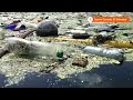 El Salvadors biggest lake is swamped by trash  - 01:32 min - News - Video