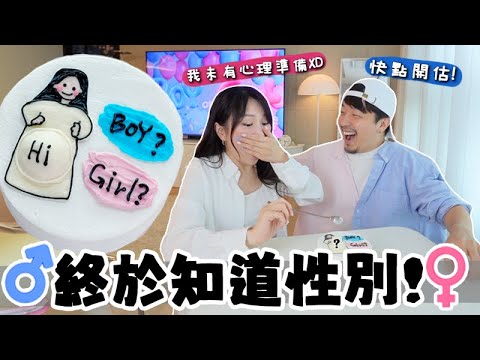 VLOG 🇰🇷 知道胎兒性別了👶🏻 酸男辣女準嗎?家人朋友反應竟然…?韓國做NIPT費用&需時? 🐝 Mira 咪拉