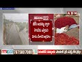 వైసీపీ ప్రభుత్వం పై మిర్చి రైతుల ఆందోళన | Chilli Farmers | Ananthapuram | ABN Telugu  - 03:15 min - News - Video
