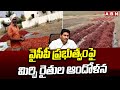 వైసీపీ ప్రభుత్వం పై మిర్చి రైతుల ఆందోళన | Chilli Farmers | Ananthapuram | ABN Telugu
