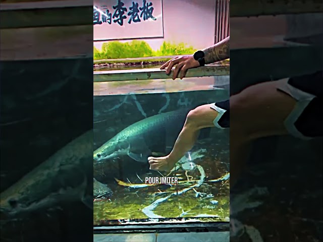 Le poisson le plus dangereux 🥶