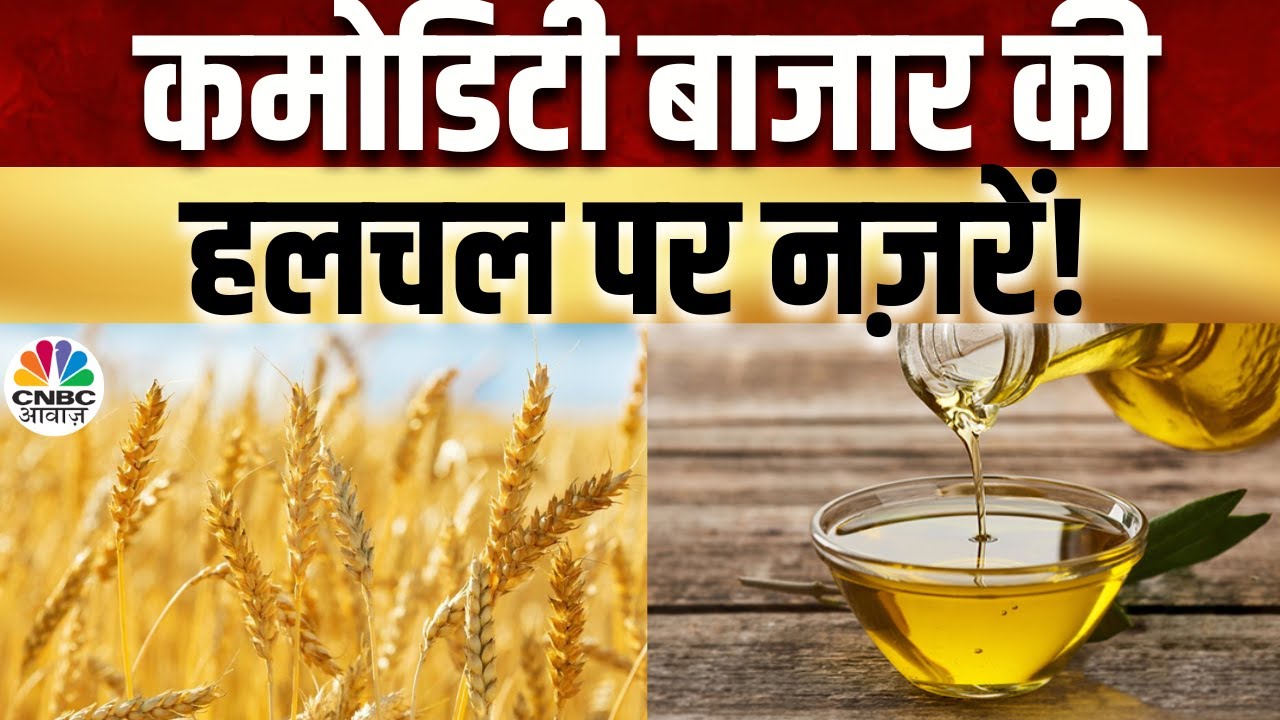 Commodity Market | गेहूं लिए गर्मी फिर बनेगी विलेन, फिर बढ़ेगी खाने के तेल की इंपोर्ट ड्यूटी?