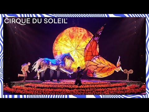 Cirque du Soleil: Luzia'