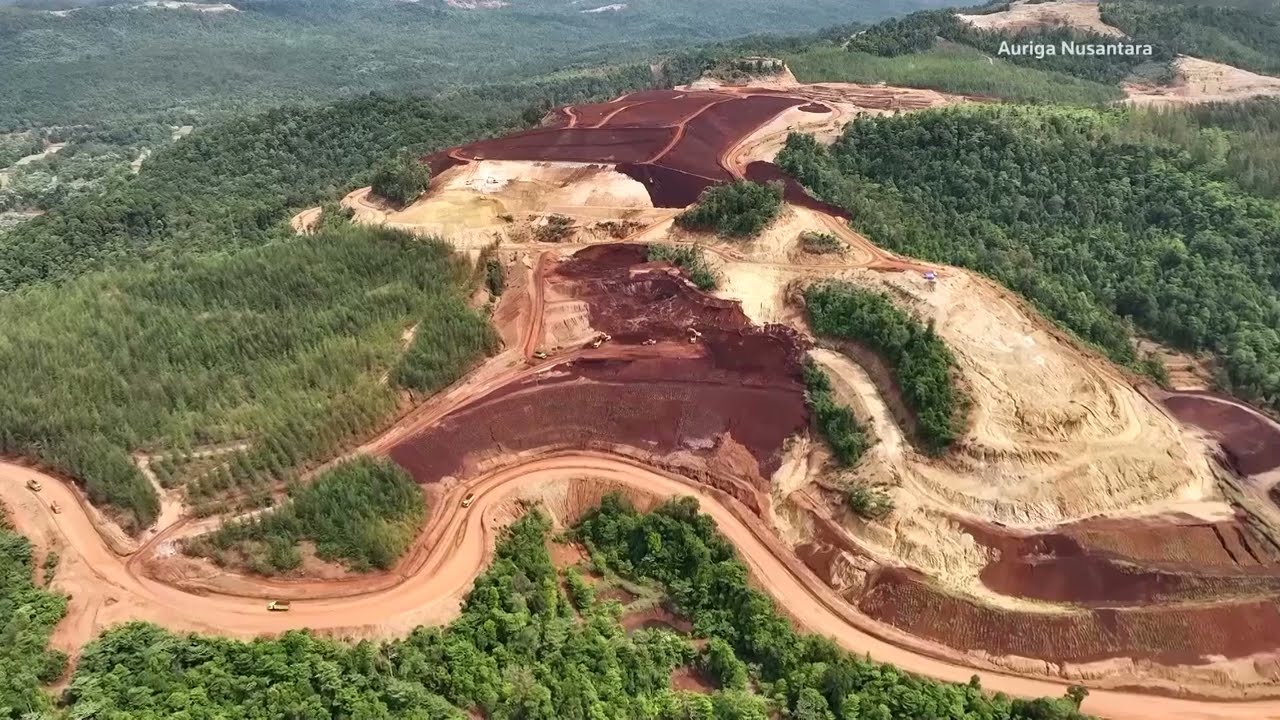 Indonesia forest loss surges 66% in 2025, report shows