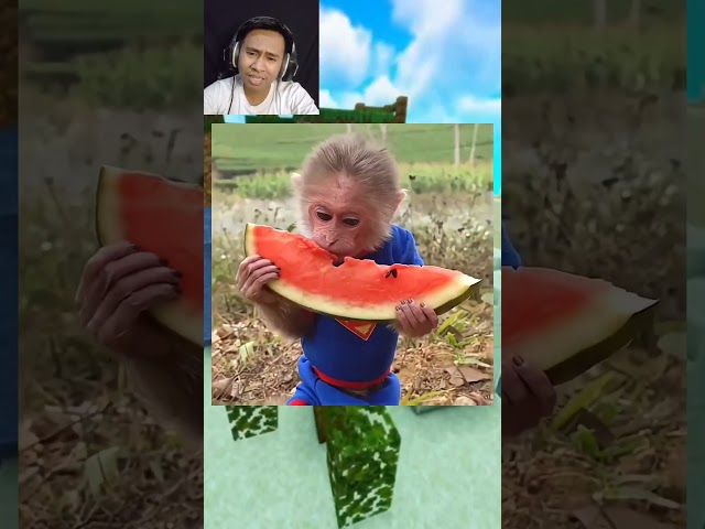 Ini Bukan Sekedar Anomali