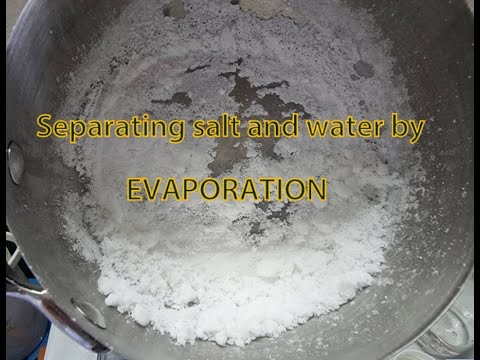 Upload mp3 to YouTube and audio cutter for Science experiment: Separating mixture by EVAPORATION ( Homogeneous solution - SALT WATER) download from Youtube