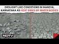 Karnataka News | Drought Like Conditions In Mandya, Karnataka As Heat Dries Up Water Bodies