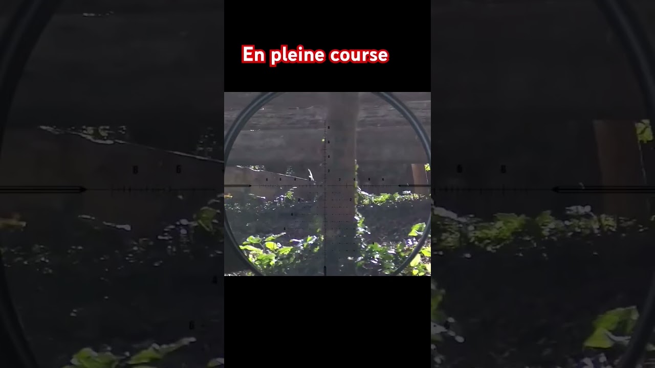 Elimination de cible en mouvement #airsoft #scopecam #military #camman