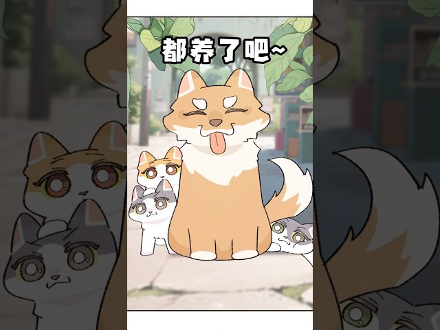 爱心泛滥的狗狗捡回来三只小猫~素材来源 #原创漫画 #狗狗 #猫咪 #暖心 #治 愈系狗狗