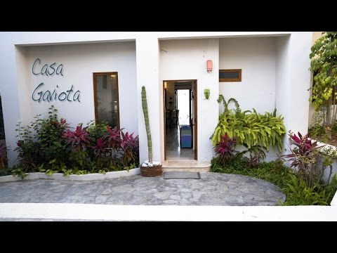 Property video