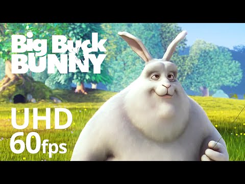 Big Buck Bunny'