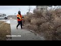 Tumbleweeds blanket parts of suburban Salt Lake City - 00:51 min - News - Video
