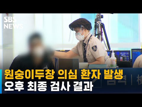 원숭이두창 의심 환자 2명 확인…오후 최종 검사 결과 / SBS