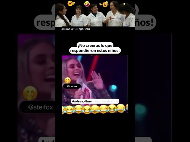 Servicio de Limpieza por Horas de Casas, Departamentos y Oficinas en Lima, Perú - Algo de Humor