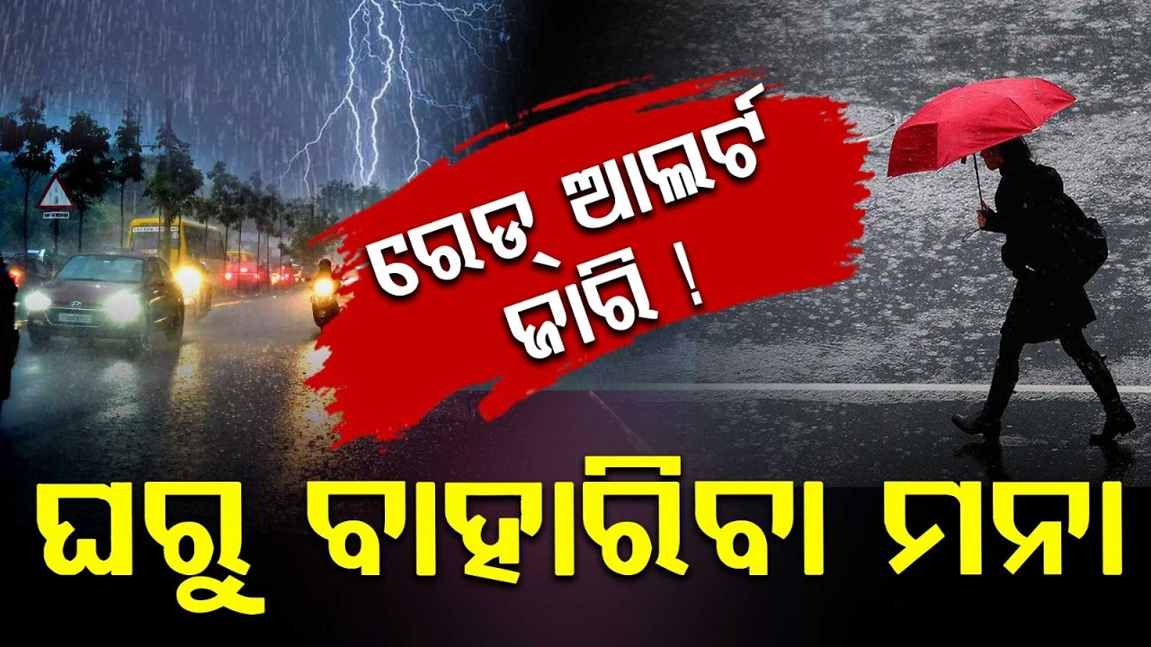 🔴Live | ୪ ଦିନ ପ୍ରବଳ ବର୍ଷା | Odisha Rain Alert: Heavy Rainfall for Next 4 Days | Argus News