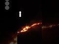 Raging fires in Brazil wetlands surge 980 percent  - 00:32 min - News - Video