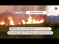 WARNING: GRAPHIC CONTENT - Bolivian Amazon wildfires scorch forests, kill animals  - 00:57 min - News - Video